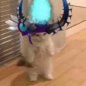 Meet your Posher, Impressive